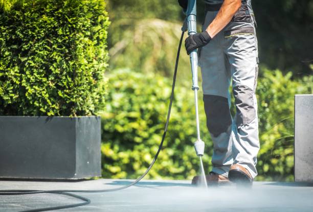 Best Gutter Cleaning  in Cactus Flats, AZ