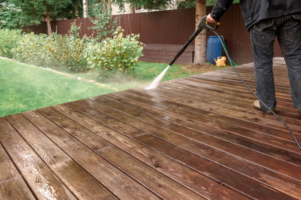 Best Soft Washing  in Cactus Flats, AZ